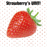 Strawberry Unit!