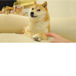 Doges Obby
