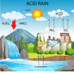 Acid Rain Science Project  icon