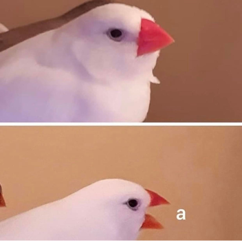 Tower of Generation Failure