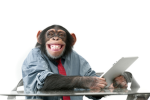 DA STUPID MONKEZ