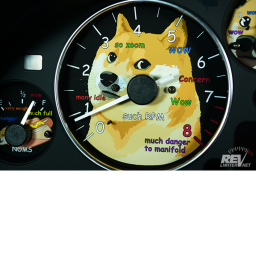 SUPER DOGE RACING