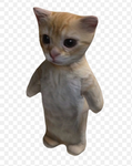 Cats_Forever!