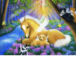 animal whisperers