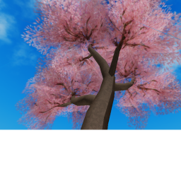 Sakura Tree