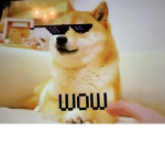 Doge pawty