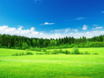 join meadow
