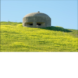 Survive in the bunker