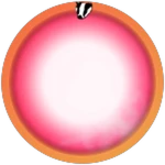 THE 2ND BADGE