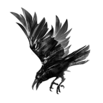 silent crows