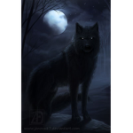 *~Night Wolves~*