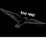 the bird mart :)