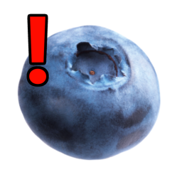 [BIG UPD] blueberry icon