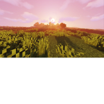 Successful Sunset