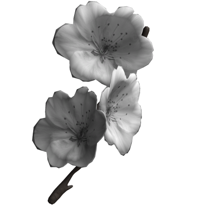 春 white cherry blossom hairpiece 桜♡