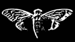 Cicada Canyon Empire