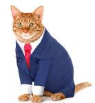 Fat Cat Labs