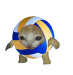 eeeeeeeeeeeeemo