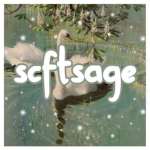 scftsage