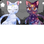 ☾ Moon Cats ☽