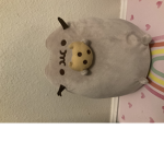 Pusheen fun in bloxburg