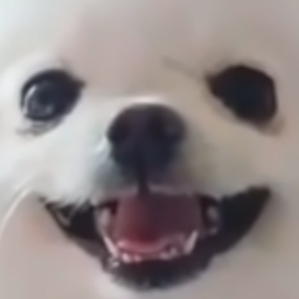Egg Dog Face Roblox decal