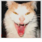 Killer Cat Army