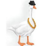 Duck Duck Goose Inc