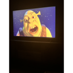 Shrek is my baby boy amd my life