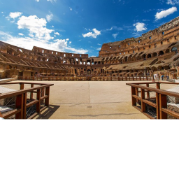 the  arena