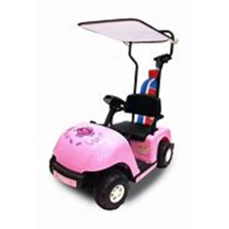 Cart ride for Admin!