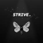 StriveStudios