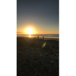 #The_ Sunsets