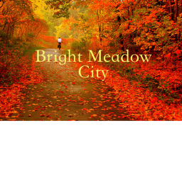 Bright Shadows  City