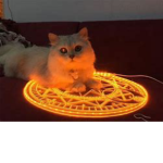 The demonic cult of cats