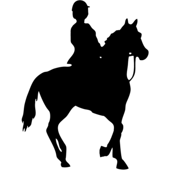 ~Pine Trails Stables~ (Renovated)
