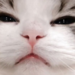 ☆