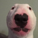 i hate trustify