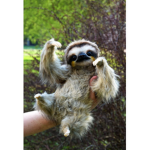 ~•Sloths•~ :D