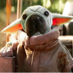 The Meme Gods Of Yoda