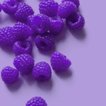Go Blueberry violet