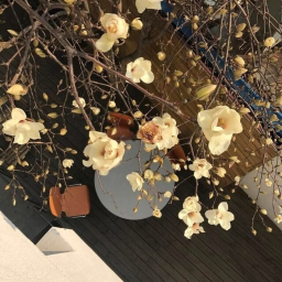﹫