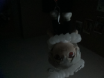 RAT RAIDING CULT