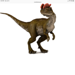 Indo raptor fan group