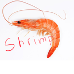 Shrimp Squad (SS)