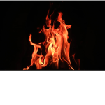 Notanyburnsyetofficalgroup