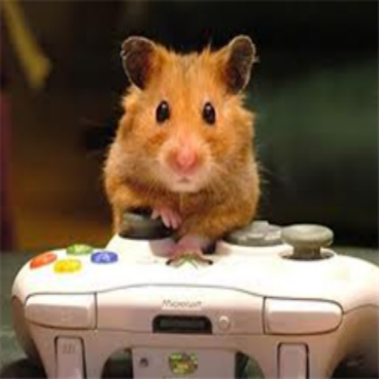 Hamster Gamer Roblox decal