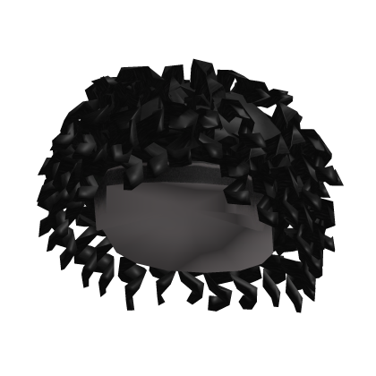 Black Long Curly Fro Roblox item