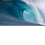 Water Clan Of The Lands