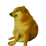 The doggo teamers
